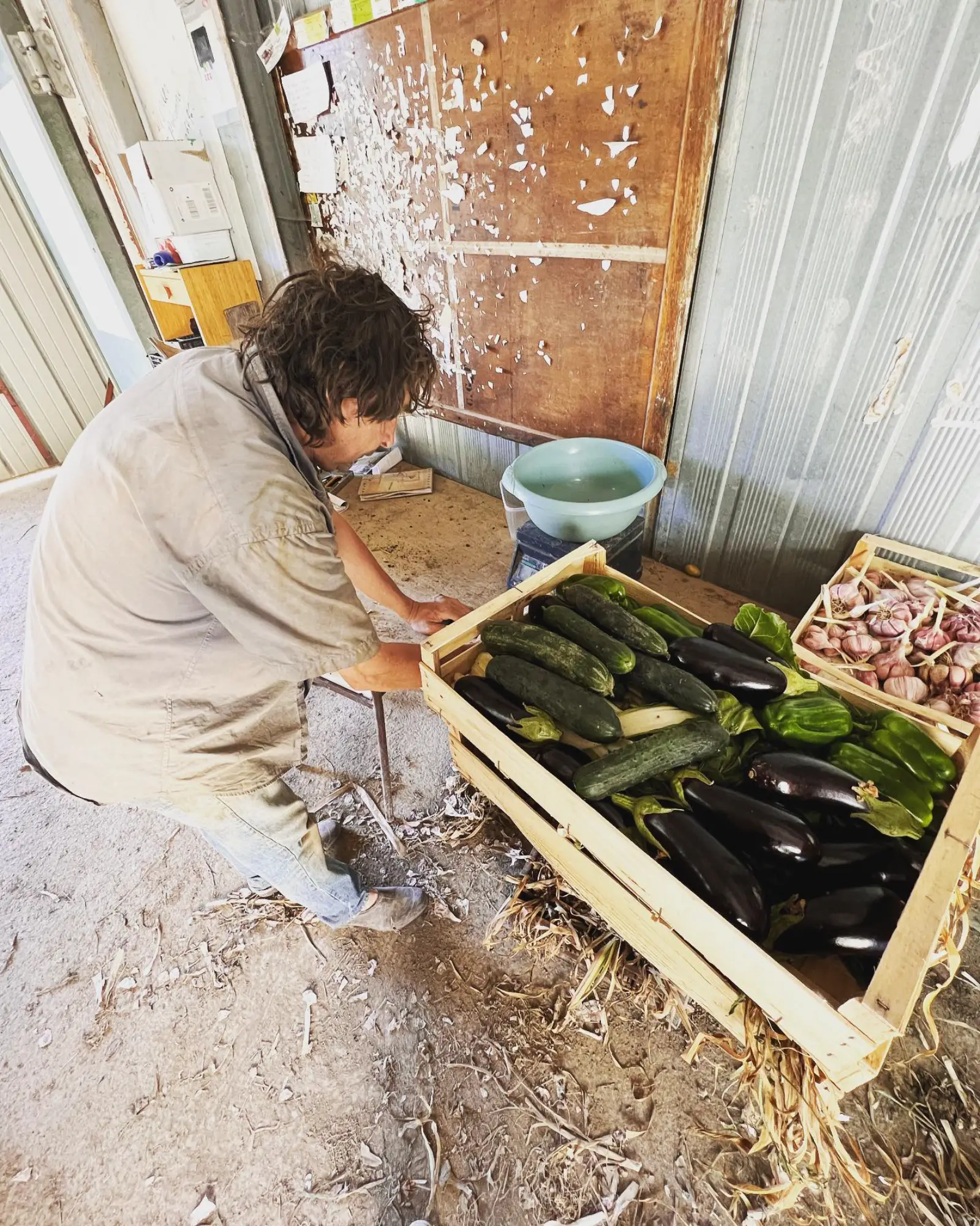La ferme des tancs - Valserres