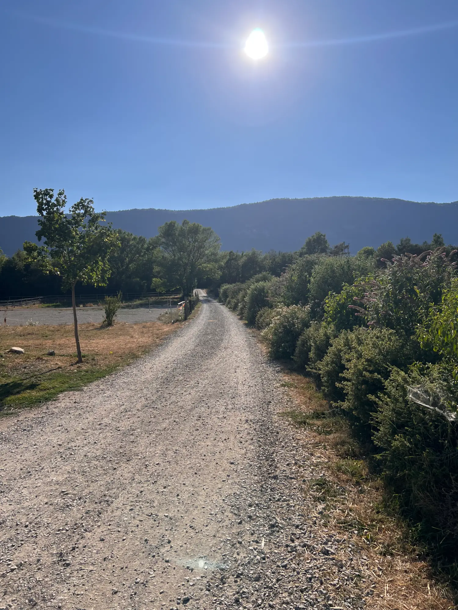 La ferme du Lauzon – Montmaur