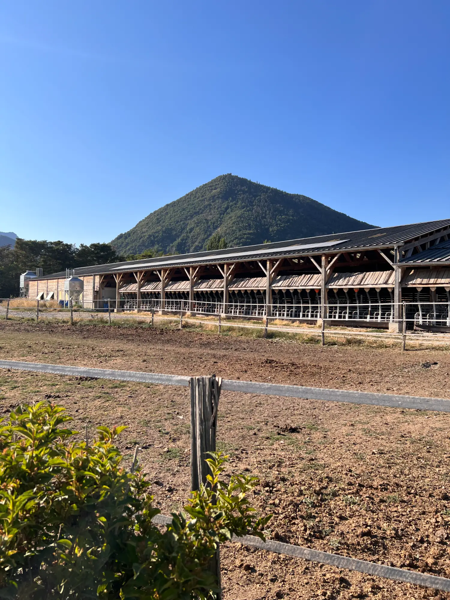 La ferme du Lauzon – Montmaur
