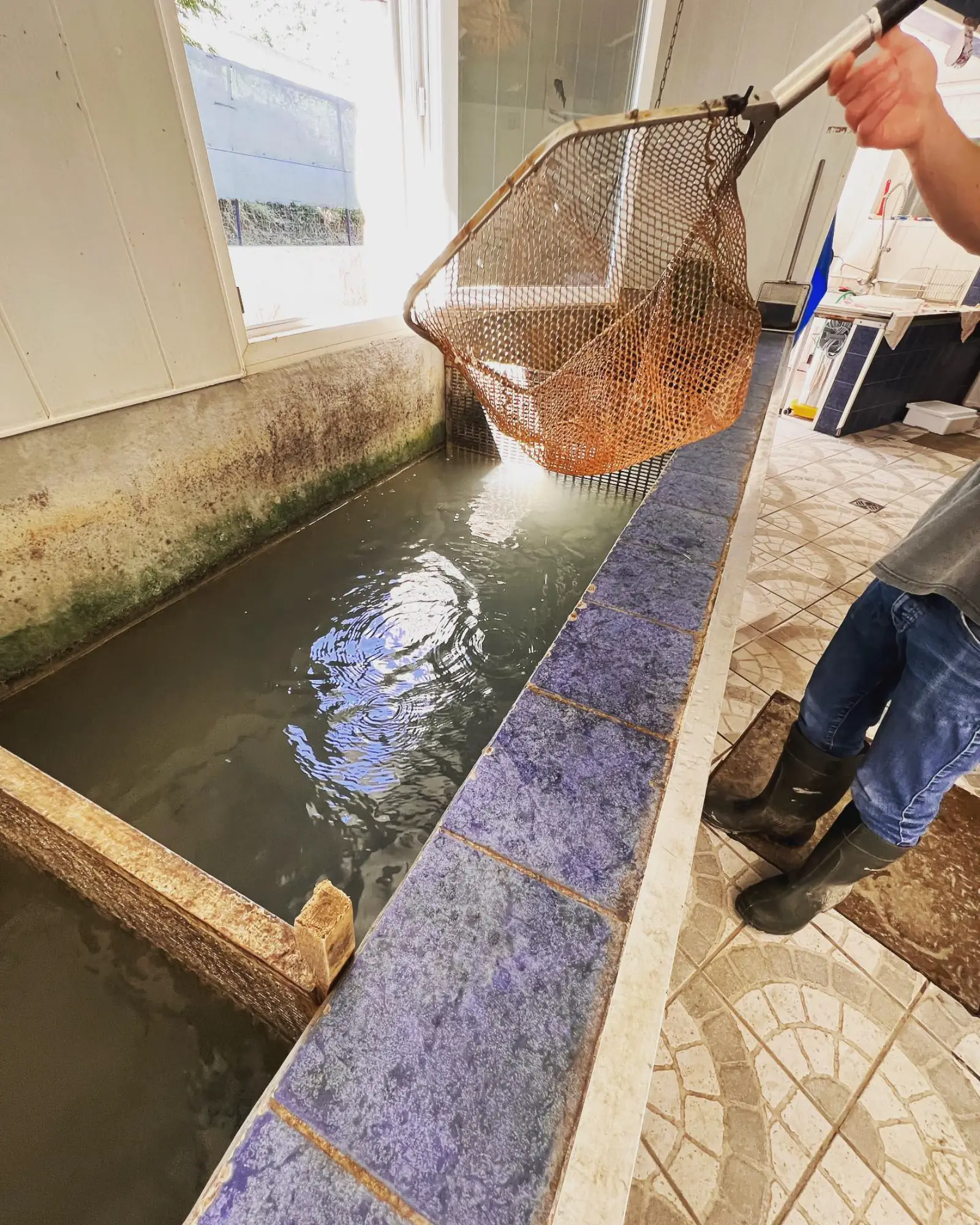 Pisciculture des écrins - Châteauroux les alpes